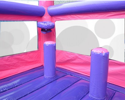 Pink Castle Double Slide163
